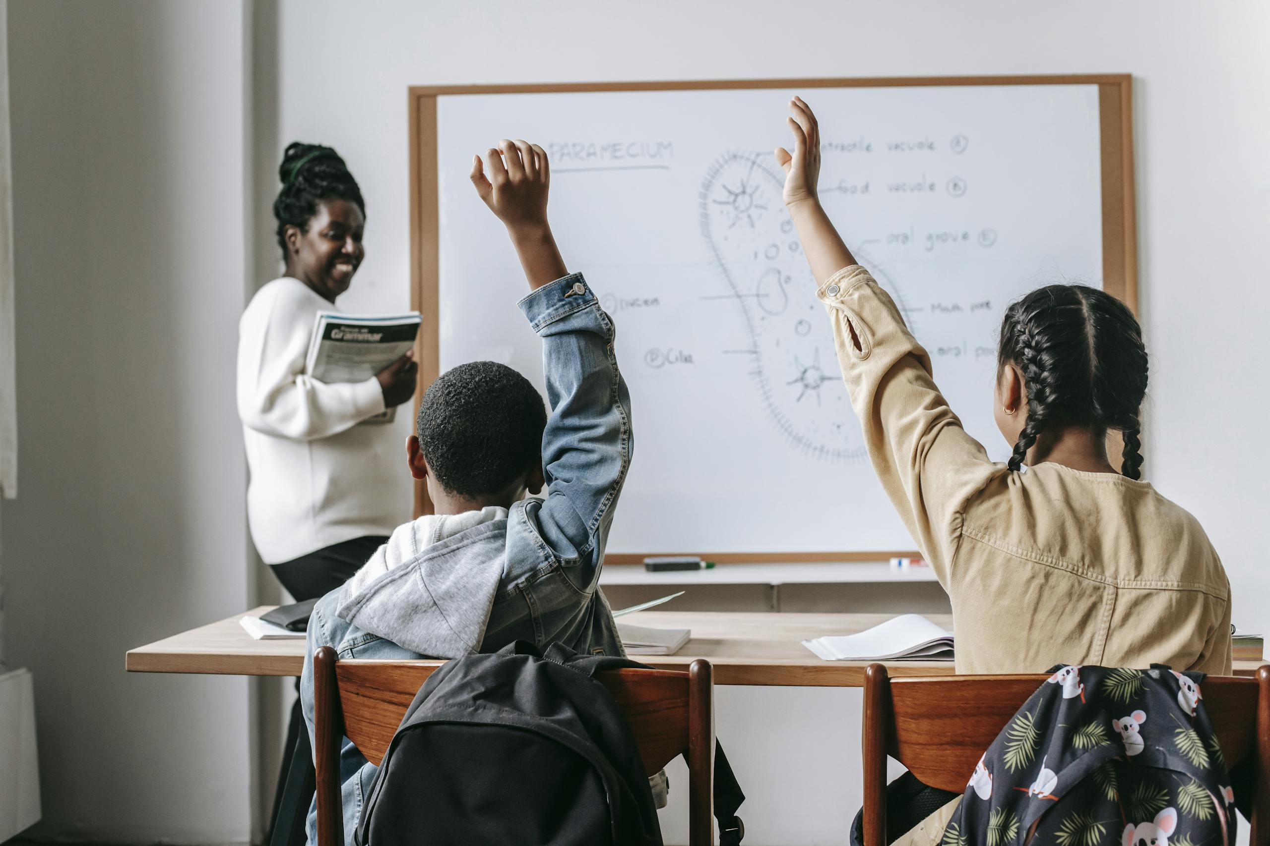 Students actively participating in a biology lesson with a teacher explaining at the whiteboard.